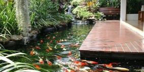 Tôi cần bán gấp căn nhà 1 trệt 2 lầu đường Hùng Vương phường Phước Hưng.