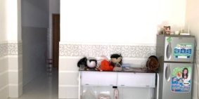 Nhà cấp 4 còn mới 48m2 hẻm 440 Thống Nhất P16 Gò Vấp sổ hồng riêng