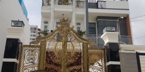 Bán nhà 1 trệt 2 lầu, có sân trước để ô tô và tiểu cảnh sân sau!