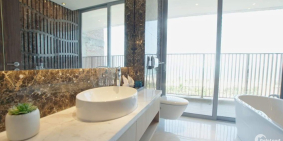 Soleil Ánh Dương ĐN- Con gà đẻ trứng vàng cho giới đầu tư BDS