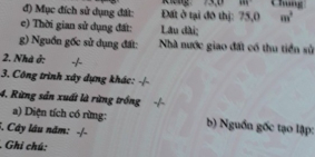 Bán 2 lô đất liền kề A1 khu đô thị Quảng Hồng, TP Cẩm Phả, SĐCC