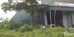 Chính chủ cần bán lô đất VỊ TRÍ ĐẸP, GIÁ RẺ tại Cô Tô, Quảng Ninh.