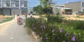 Đất Bình Chánh gần chợ Vĩnh Lộc giá rẻ hợp đầu tư