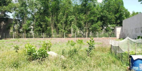 Chủ buông lô đất gần 2 sào, 3 tr 6 / m2, xã An Phước, H Long Thành, Đồng Nai