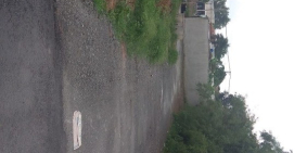 Cần bán gấp lô đất mặt tiền Phan Văn hớn shr bao san tên