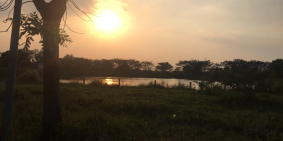 Bán Đất MT Bến Phú Định, Phường 16, Q8, 1.9tỷ(100m2) SHR, 0889758528