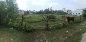 Cần bán đất tại mặt tiền Trần Minh Châu