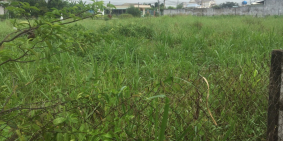 Bán đất thổ cư SHR diện tích 90m2