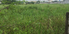 Bán đất mặt tiền tại Tân An City