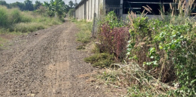 Hãy nhanh tay vì cơ hội để sở hữu cho mình một lô đất đẹp chỉ có một