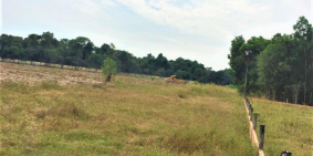 Cần tiền bán gấp lô đất gần biển Hồ Cốc, xã Bưng Riềng mặt tiền QL55