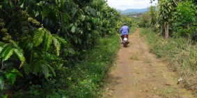 BỊ NGÂN HÀNG DÍ TRẢ LÃI BÁN ĐẤT THÁC ĐAM RI-BẢO LỘC-LÂM ĐỒNG,1,1ha, 3,4 ty