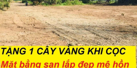 ĐẤT LONG TÂN CHÍNH CHỦ của bà Bán Tàu Hủ thật vi diệu