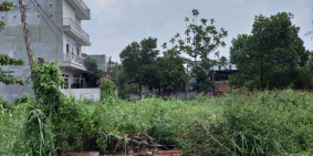 Cho thuê đất trống Đường nội bộ số 10 Nguyễn Duy Trinh, P.BTĐ, Q.2