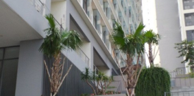 Bán La Astoria 1  3PN full nội thất 2 tỷ 270