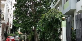 Biệt Thự chính chủ bán hoặc cho thuê