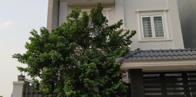 Nhà khu đô thị năm sao cho người đi Long An – miền tây