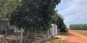 Bán Đất Nền Dầu Tiếng Giá Rẻ 398tr Nền