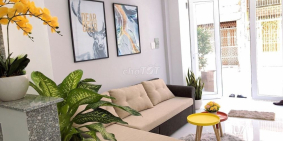 Bán Nhà Hẻm Xe Hơi Lạc Long Quân, P3, Q11