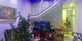 Nhà mới đẹp hẻm 6m Gò Dầu 4X12.5 (ĐÚC 3.5 TẤM) 4PN