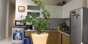 Bán nhà mới đẹp HXH đường Bình Lợi, Phường 15, Bình Thạnh ( hình thật 100% )