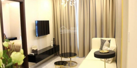 Cho thuê Căn hộ Cao cấp Luxury Residence