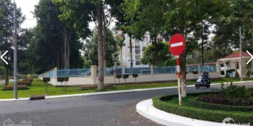 đầu tư gì vào cuối năm khi ngoại tệ đã về??