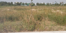 Đất nền Qi Island Thuận An đón đầu xu hướng