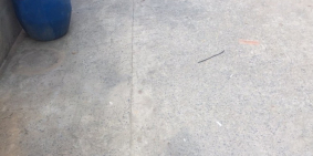 Ông chú ra nước ngoài bán gấp nhanh tay kẻo hết