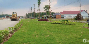 Cần Bán Nhanh Lô Đất Ở Long Nguyên Bàu Bàng.