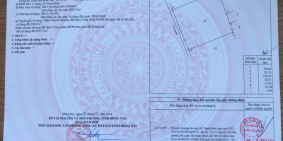 Gia đình muốn bán gấp 1 mẫu đất Tân Hiệp, Long Thành 92x105 có 200m2 thổ cư.