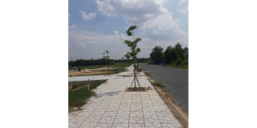 Mở bán dự án khu dân cư Ngân Long, gần sân bay Long Thành, SHR