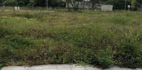 Đất nền dự án Vinaconex 3 đã có bìa