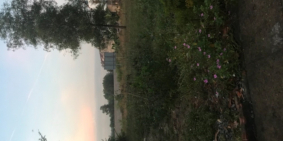 Bán gấp lô đất MT Nguyễn Văn Công P3 GV, gần CV Gia Định. Giá chỉ 25tr/m2 DT 100