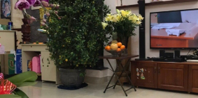 Bán nhà đường Số 6 Linh Xuân, DT 85m2(5x16m) xây 1 trệt 1 lầu thông thoáng, SHR