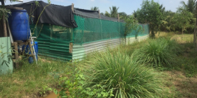 875m đất vườn có nhà có điện dân ở đông có nhà hai bên