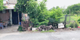 Cần bán gấp thửa đất vườn mặt tiền Qui Đức,Bình chánh, có nhà trên đất, DT 319m2