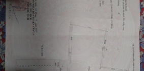 Đất vườn Cần Giờ chính chủ cần bán