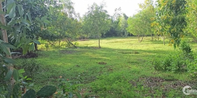 Bán 3461m2  đất trồng cây lâu năm tại thị xã Ninh Hòa Khánh Hòa