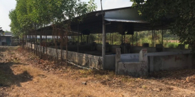 Bán đất trang trại heo tại Hưng Lộc - Thống Nhất- Đồng Nai