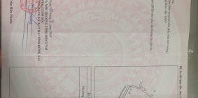 Đất đỏ Bazan chuyên trồng trọt chăn nuôi