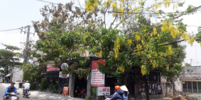 Cho thuê Mặt bằng kinh doanh Mặt tiền Đường Tăng Nhơn Phú, Q.9, Tp.HCM