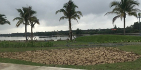 Bán lô đất kinh doanh du lịch nghỉ dưỡng ở Hội An. Cách sông 20m