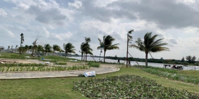 Cần tiền bán gấp lô đất biển An Bàng – Hội An – Giá rẻ hơn thị trường!