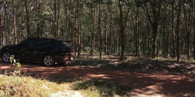 16 ha đất cao su giá chỉ 450trieu/ha sổ chính quy liên hệ ngay 0916443463