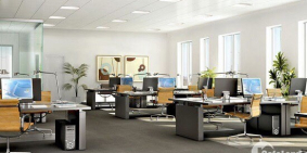 CẦN CHO THUÊ NHÀ VĂN PHÒNG Q2 gan khu alpaking và sala