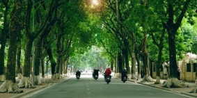 Bán nhà, phố Phan Đình Phùng, Ba Đình 52m2, 8 tầng, cho thuê 200tr/th, chỉ 48 tỷ