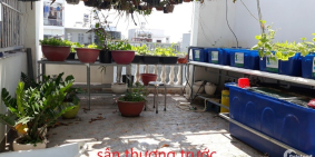 Bán nhà riêng TL37, Q12, SHR chính chủ, đường 8,5m, 4x12.8, 4 tỷ-TL