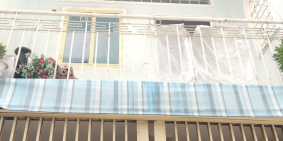 Bán nhà hẻm 258 Bông Sao P5Q8 + Diện tích: 3.3 x 12m