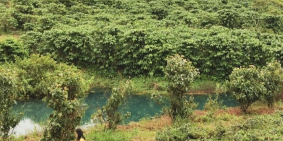 Damb'ri Ecovill, Vùng đất hứa Bảo Lộc đang chờ đợi các nhà đầu tư có tầm nhìn